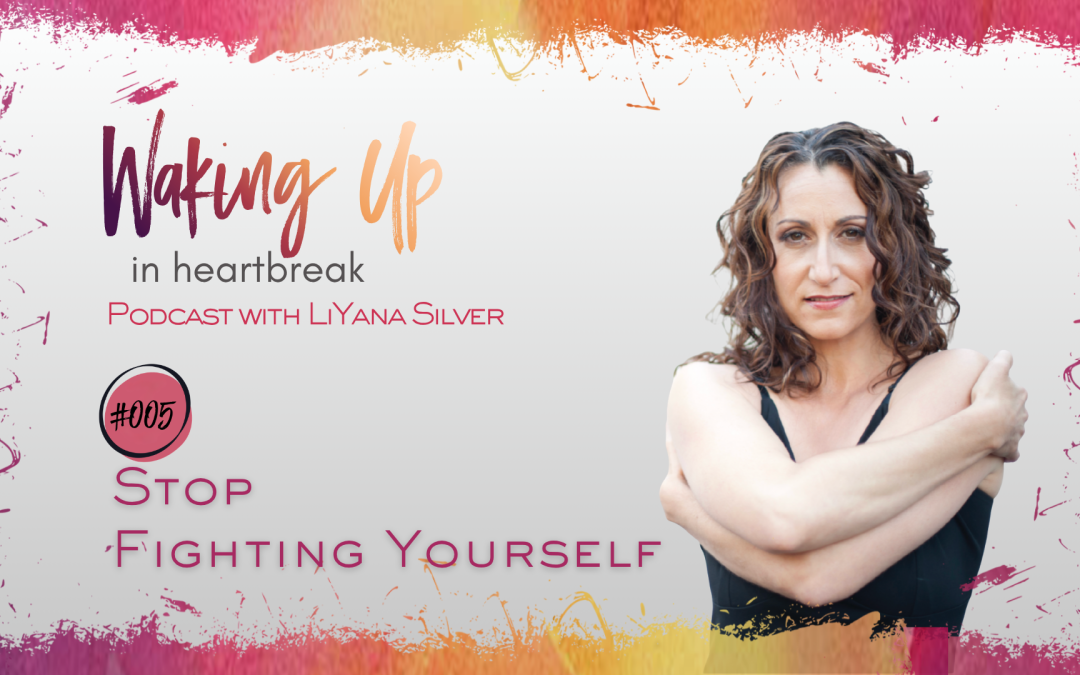 Stop Fighting Yourself